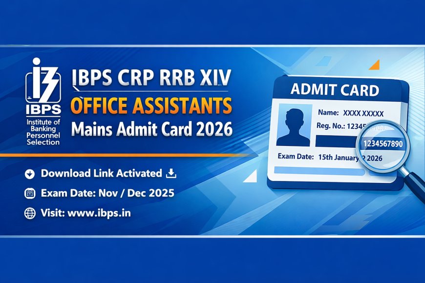 IBPS CRP RRB XIV Office Assistants Mains Admit Card 2026