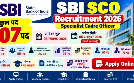 SBI SCO Recruitment 2026: 207 पदों पर भर्ती, Apply Online